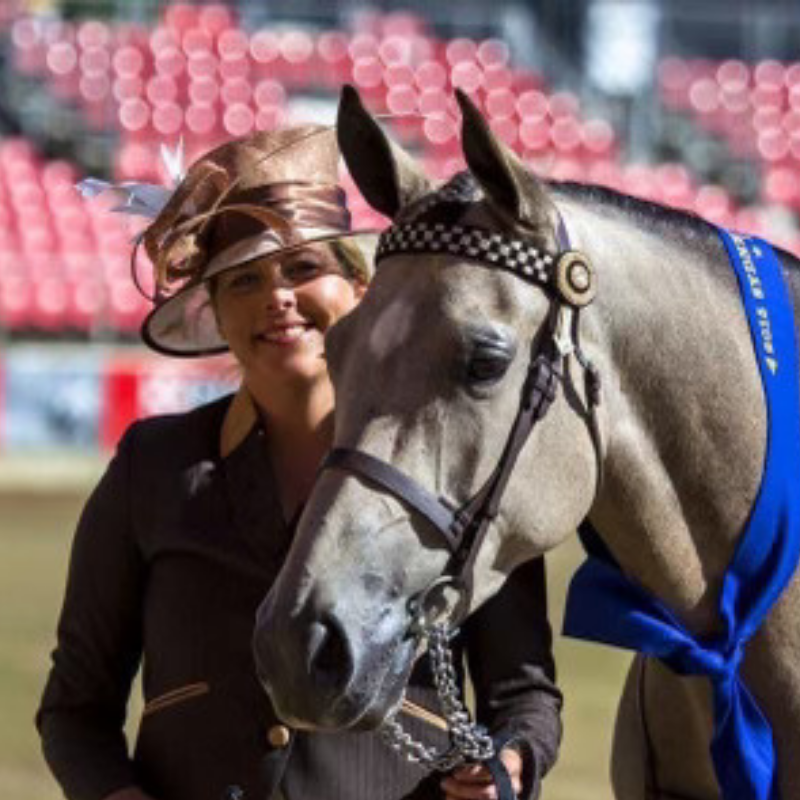 Delungra NSW 2403 3 beds house for Rent, 350 per week 16796862 Domain