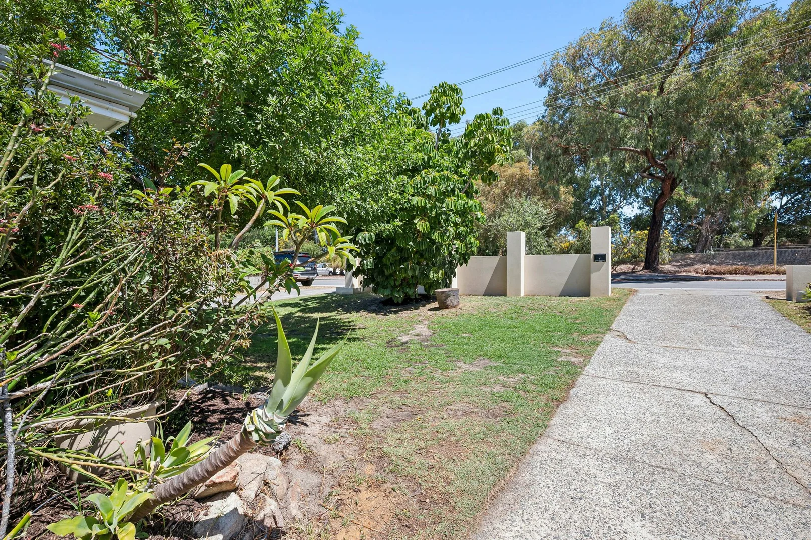 Image 25