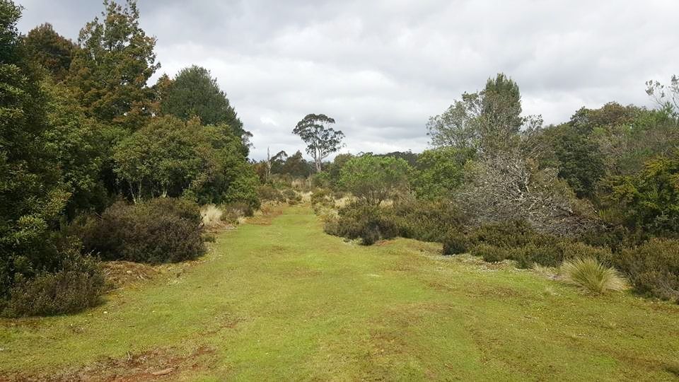 Waratah Road, Waratah TAS 7321, Image 1