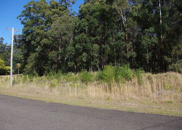 20 Rainforest Drive, Mitchells Island NSW 2430
