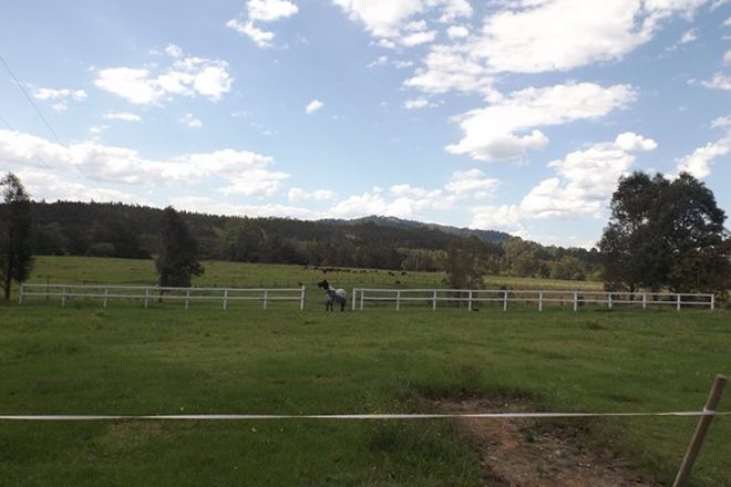 Picture of 288 Tabulam Rd, LOWER BOTTLE CREEK NSW 2469