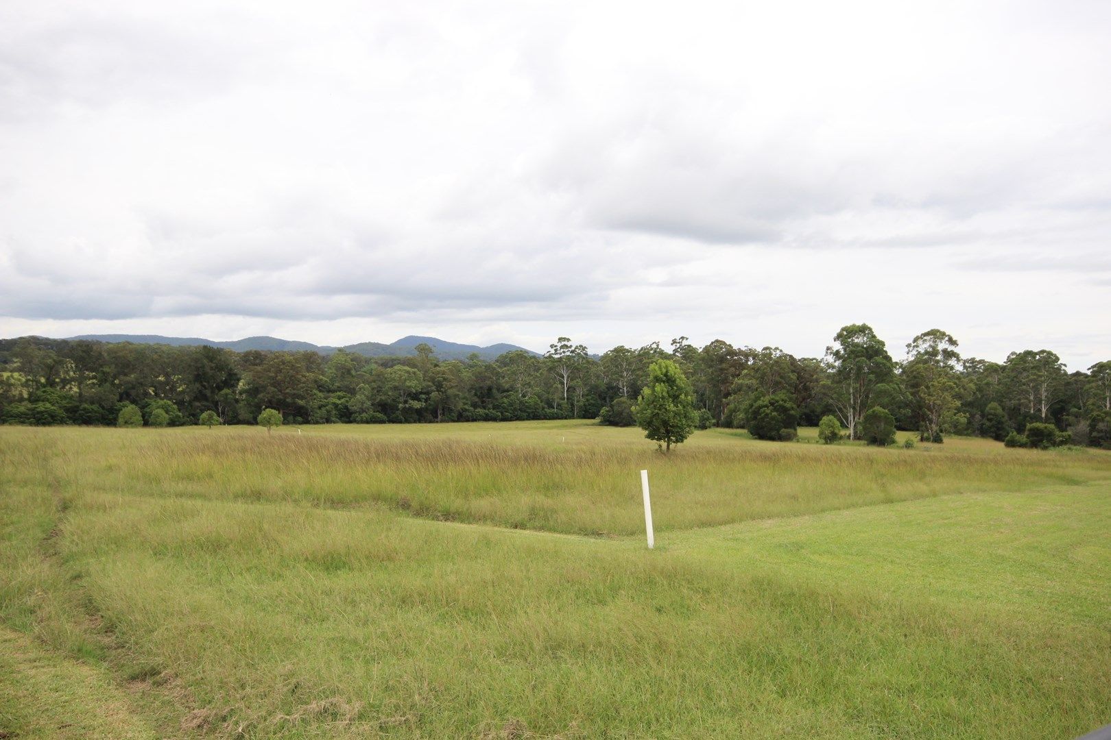 Lot 34 Beechwood Meadows, Beechwood NSW 2446, Image 0