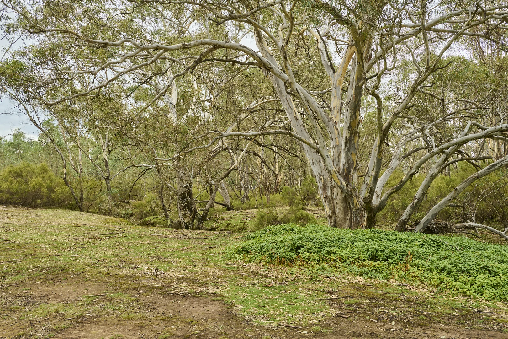 Additional image 12 of CA5 & 5J Hylands Lane, Heathcote VIC 3523