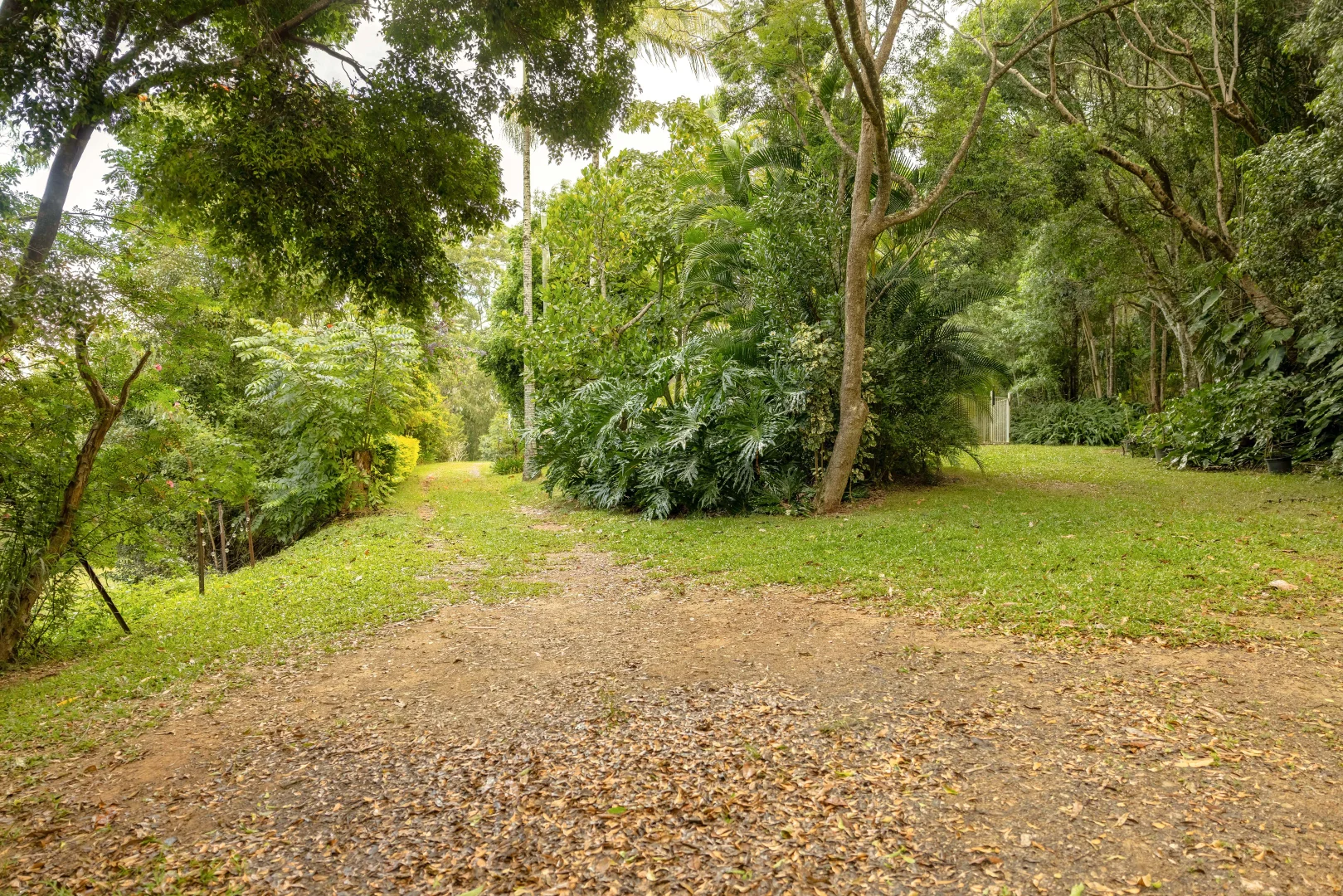 Image 20