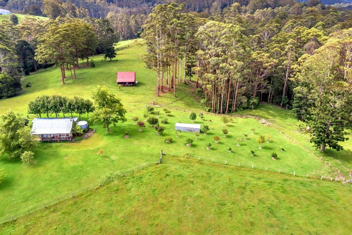 400 Camp Creek Road, Lowanna NSW 2450, Image 0