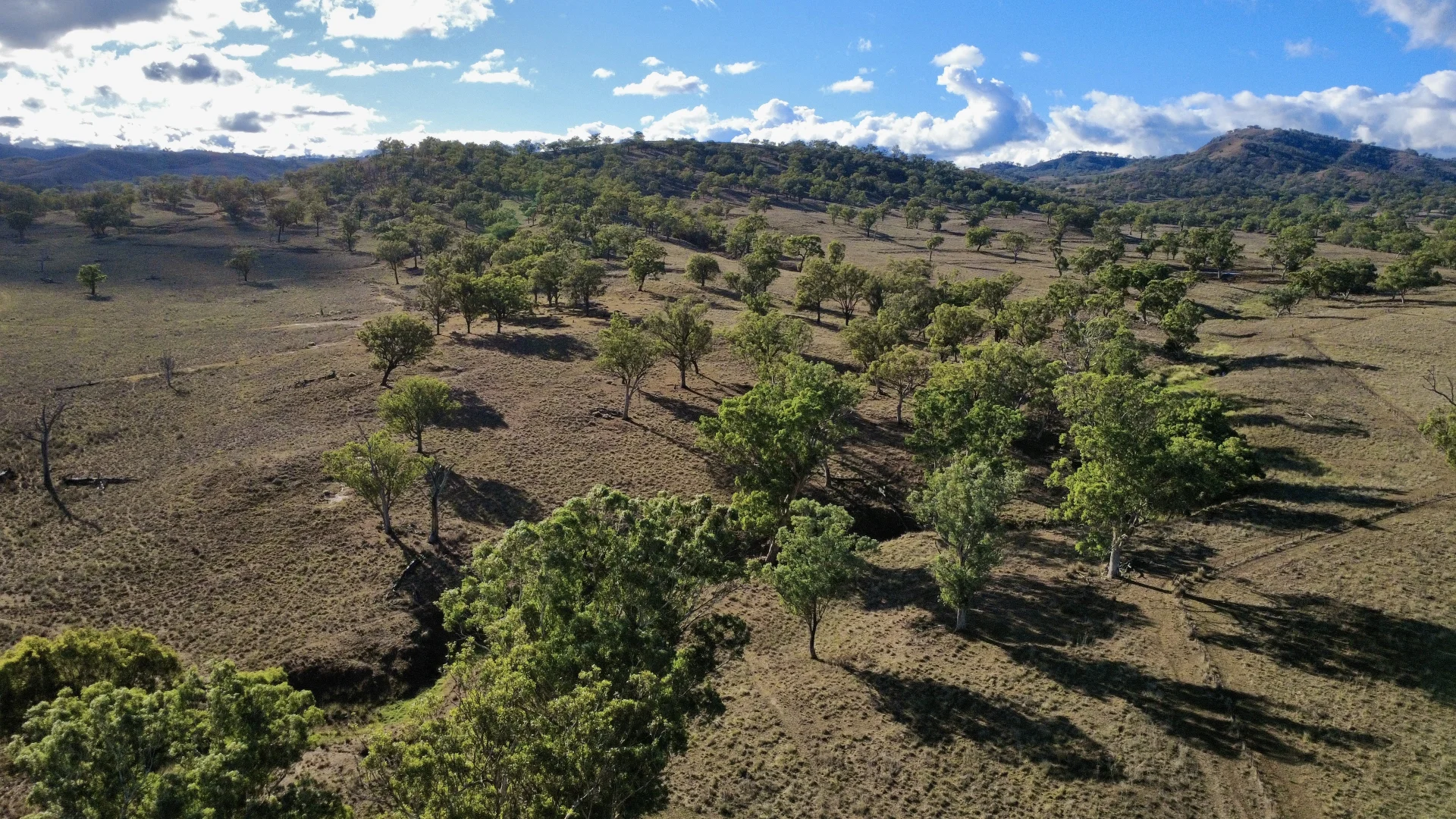 Additional image 4 of "Waverly Paddock" Waverley Road Waverly (Via), Scone NSW 2337