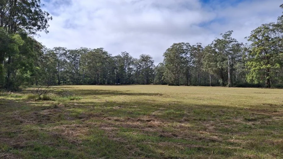 Additional image 6 of Lot 104 Keys Road, Hampton QLD 4352