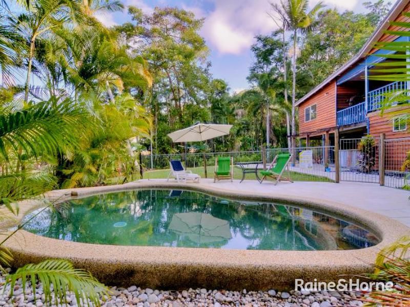 17 Stewart Street, Daintree QLD 4873, Image 2