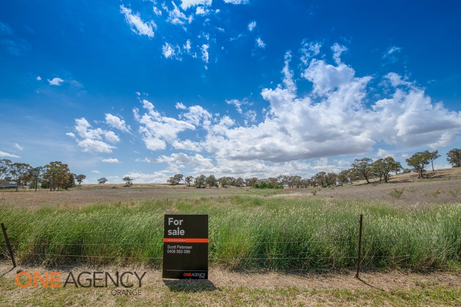 33 Rodda Drive, Cudal NSW 2864, Image 1