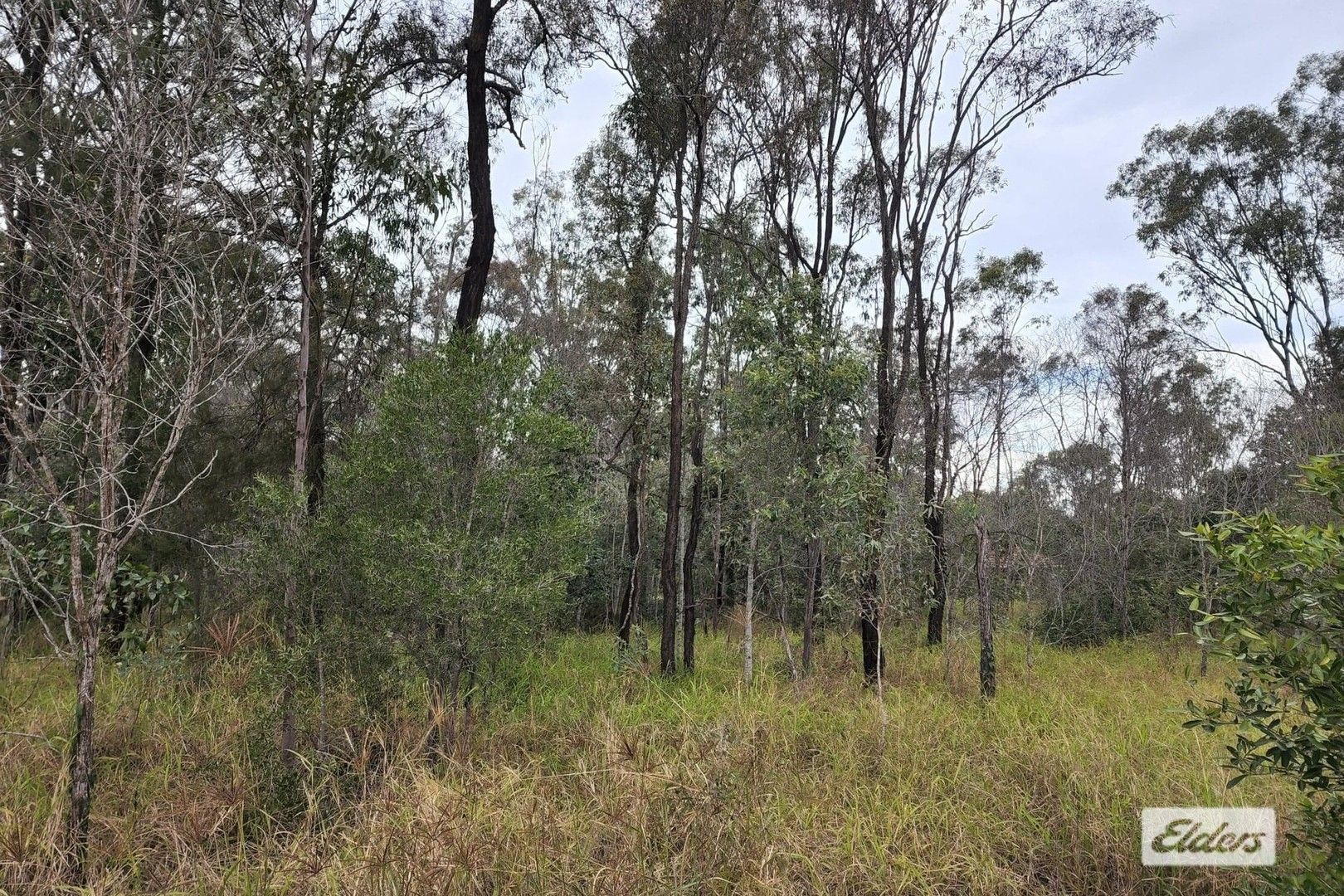 Vacant land in 31 Gutt Road, REGENCY DOWNS QLD, 4341