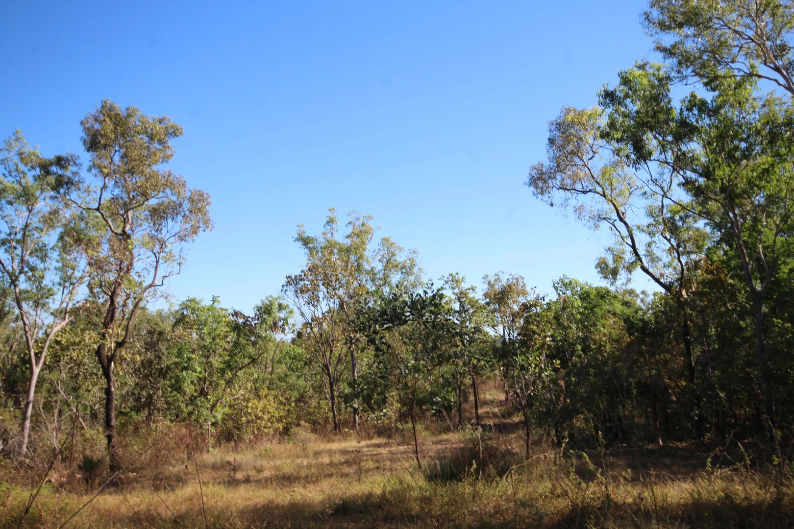 Image 10