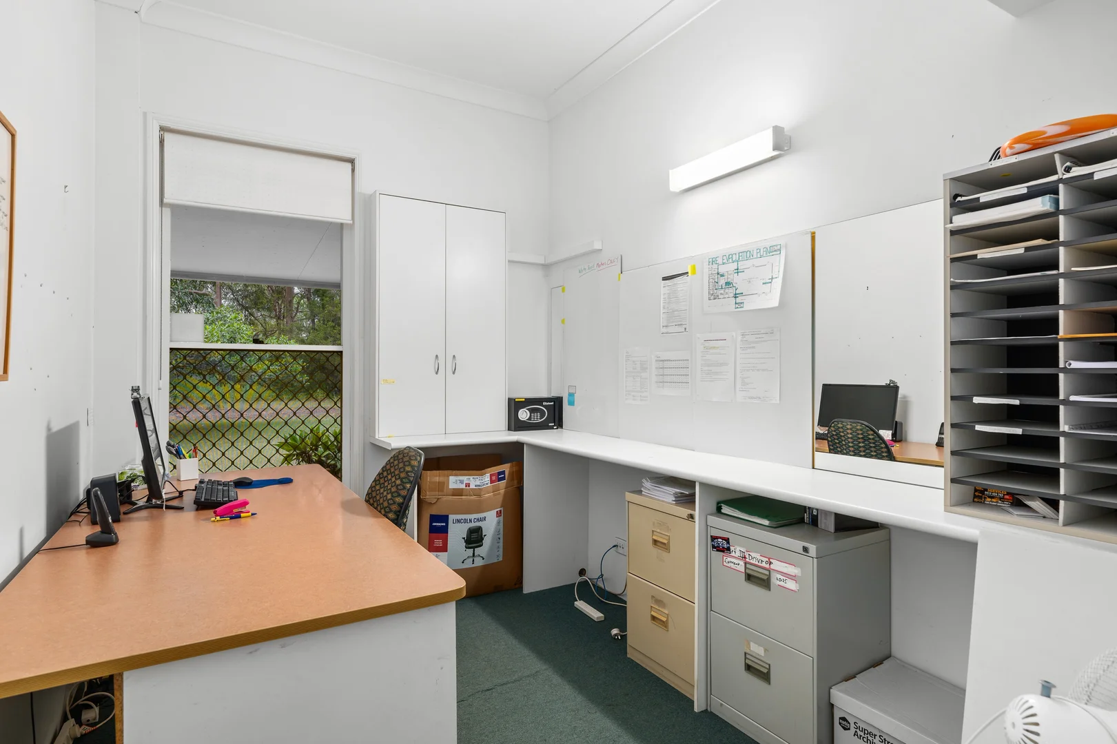 Image 12