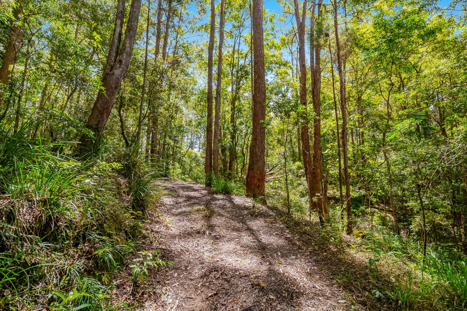 Additional image 14 of 510 Goonengerry Road, Montecollum NSW 2482