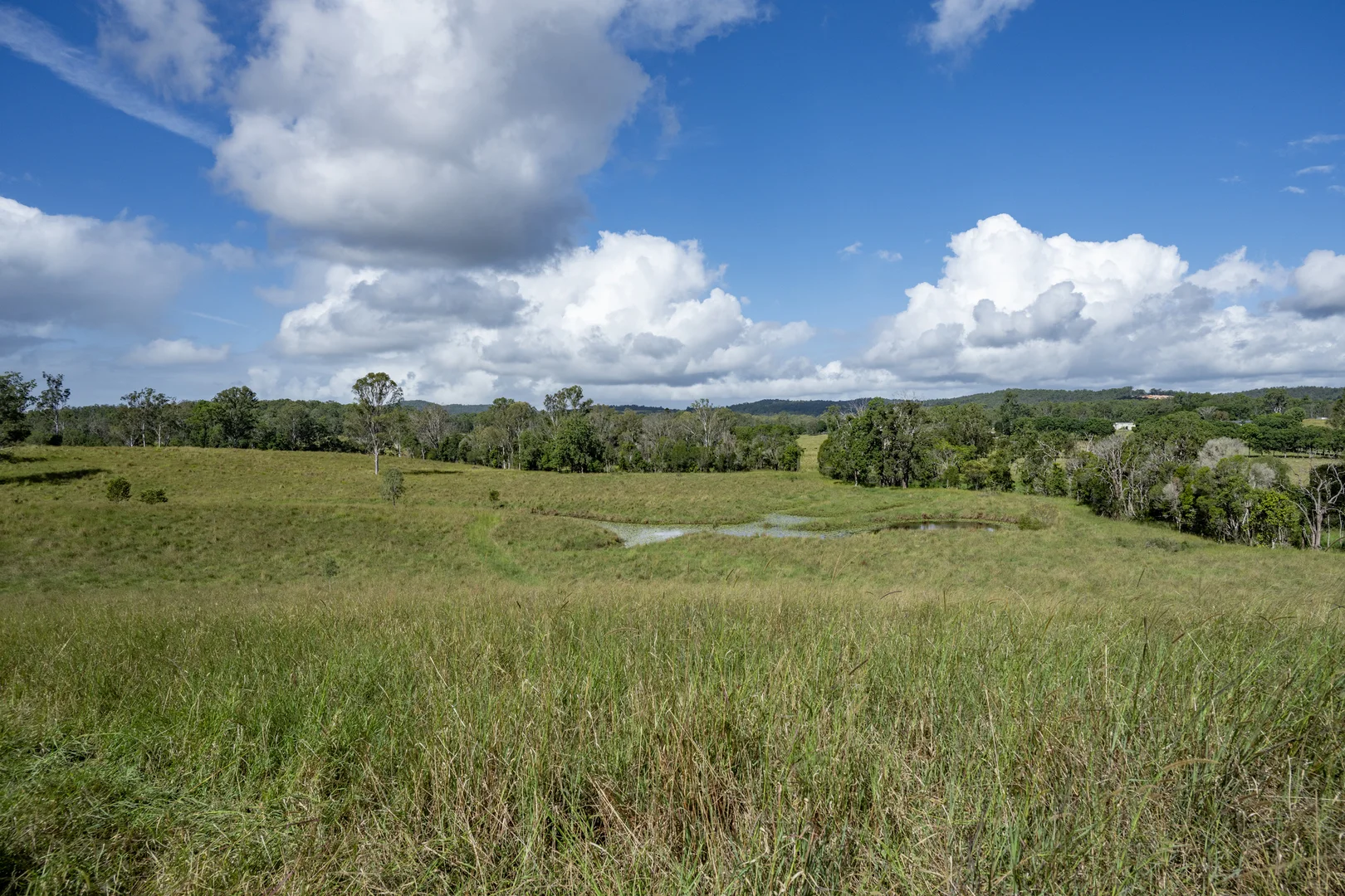 Image 54