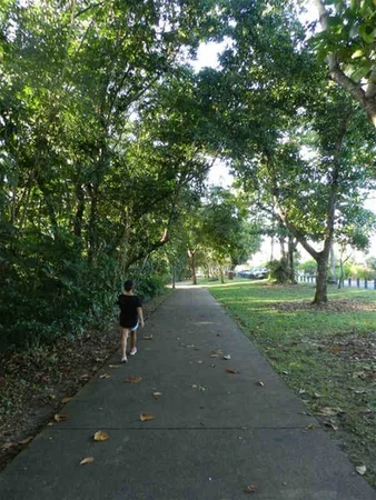 Image 11