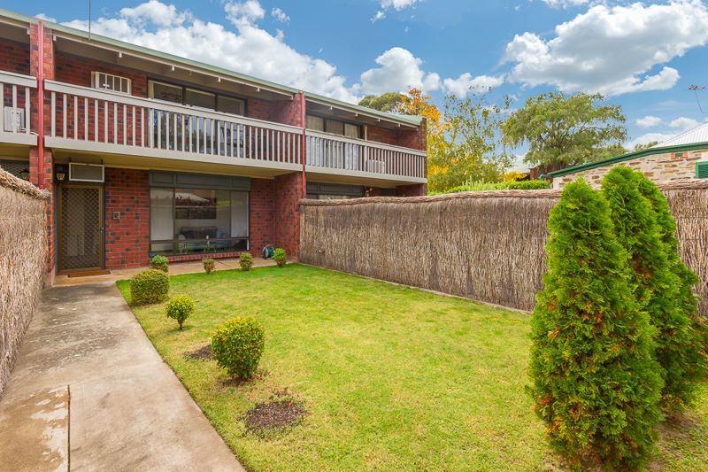 5/376 South Terrace, Adelaide SA 5000, Image 0