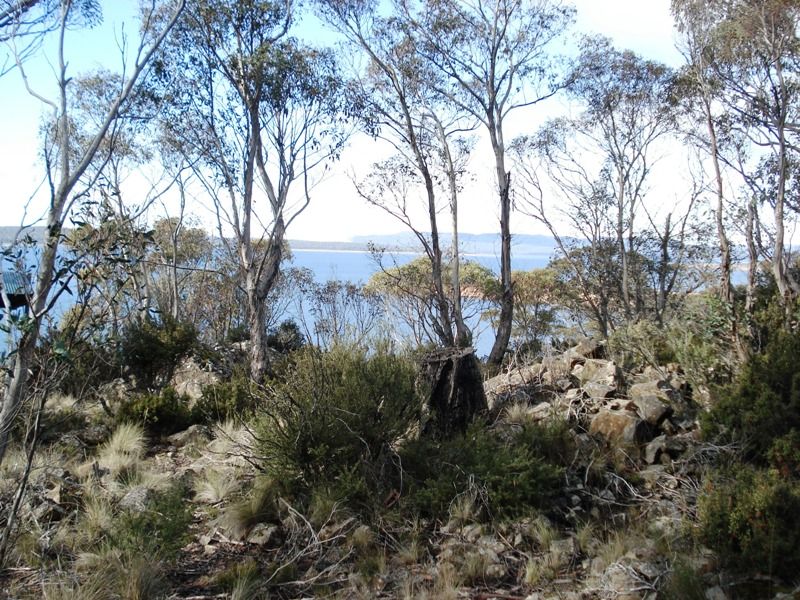 Lot 2, 2 Seals Road, BRANDUM TAS 7304, Image 0