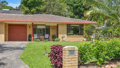 Picture of 1/50 Hall Drive, MURWILLUMBAH NSW 2484