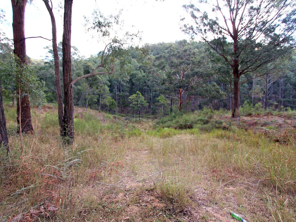 259 Boree Track, Laguna NSW 2325, Image 1