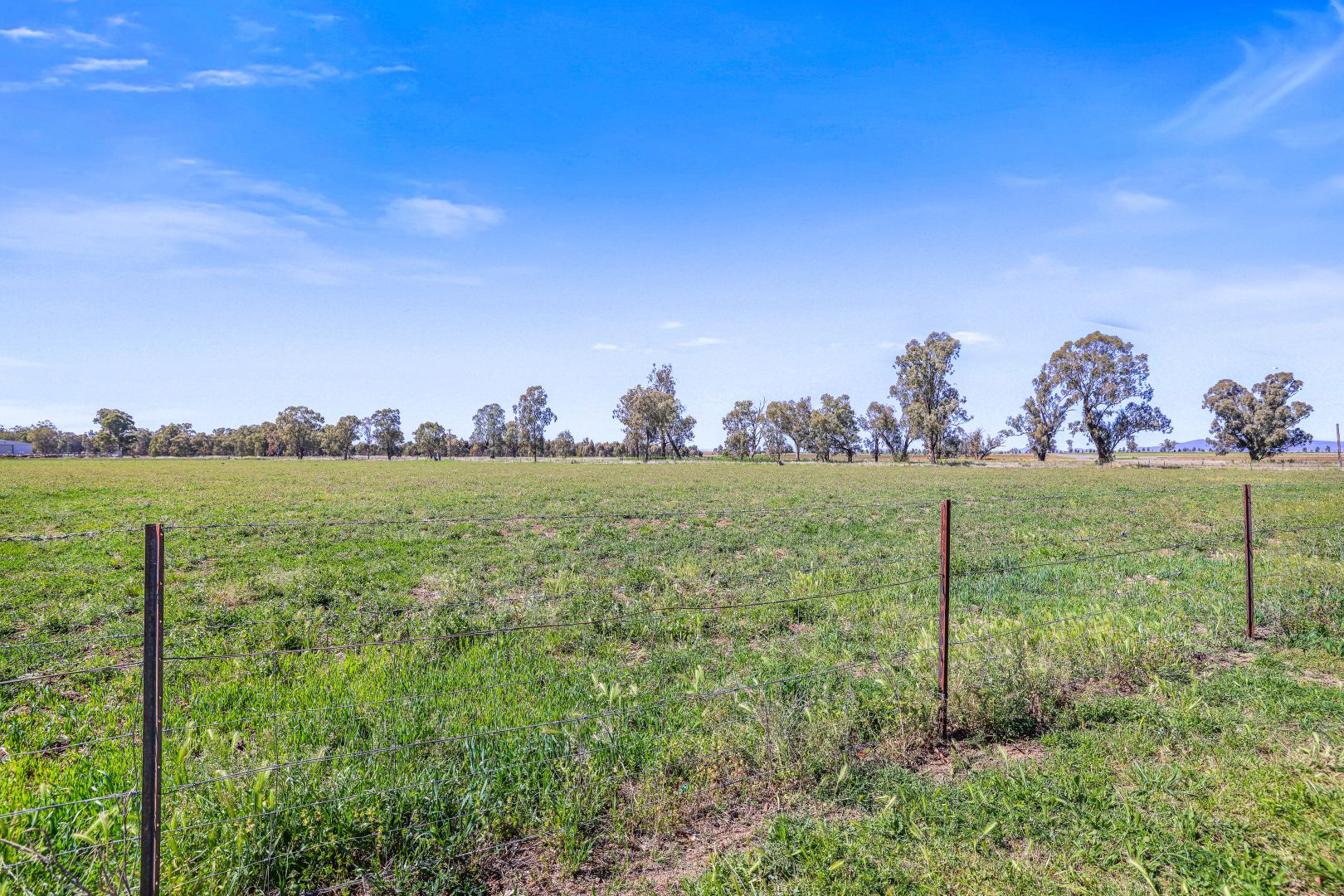 218 Old Winton Road, Tamworth NSW 2340 Domain