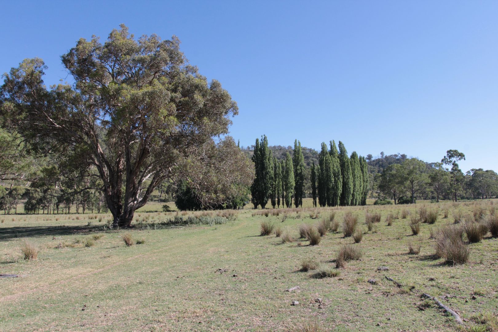 "The Glen" Tent Hill Road, Torrington NSW 2371 House for Sale 585,000