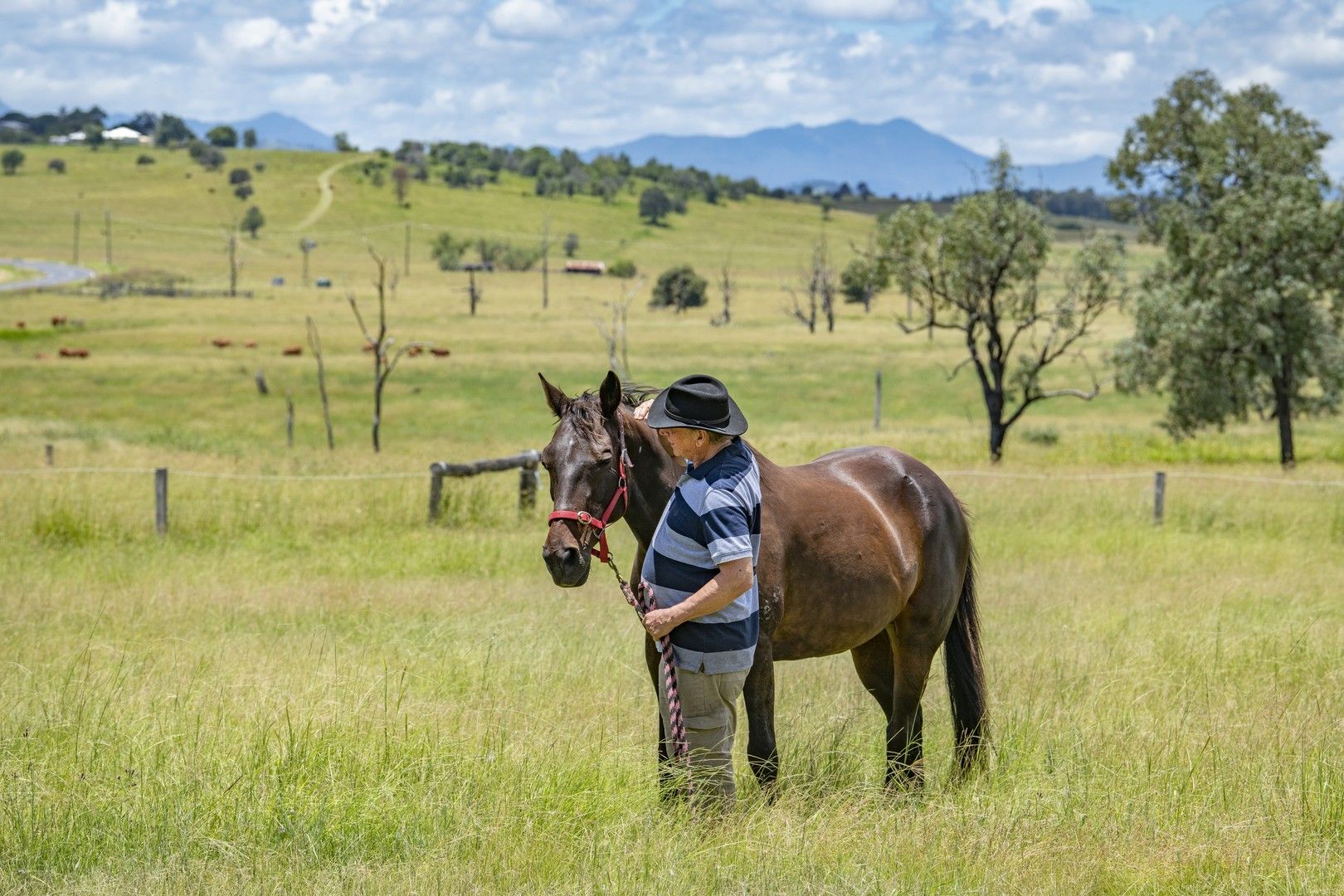 2750 Ipswich Boonah Road, Milbong QLD 4310, Image 0