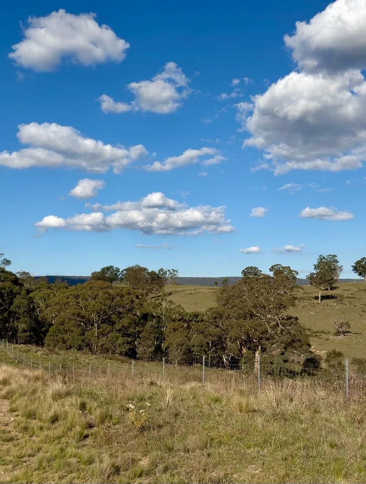 Additional image 2 of 1175 Razorback Road, Mudgee NSW 2850