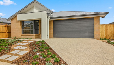 Picture of 14 Erba Road, WYNDHAM VALE VIC 3024