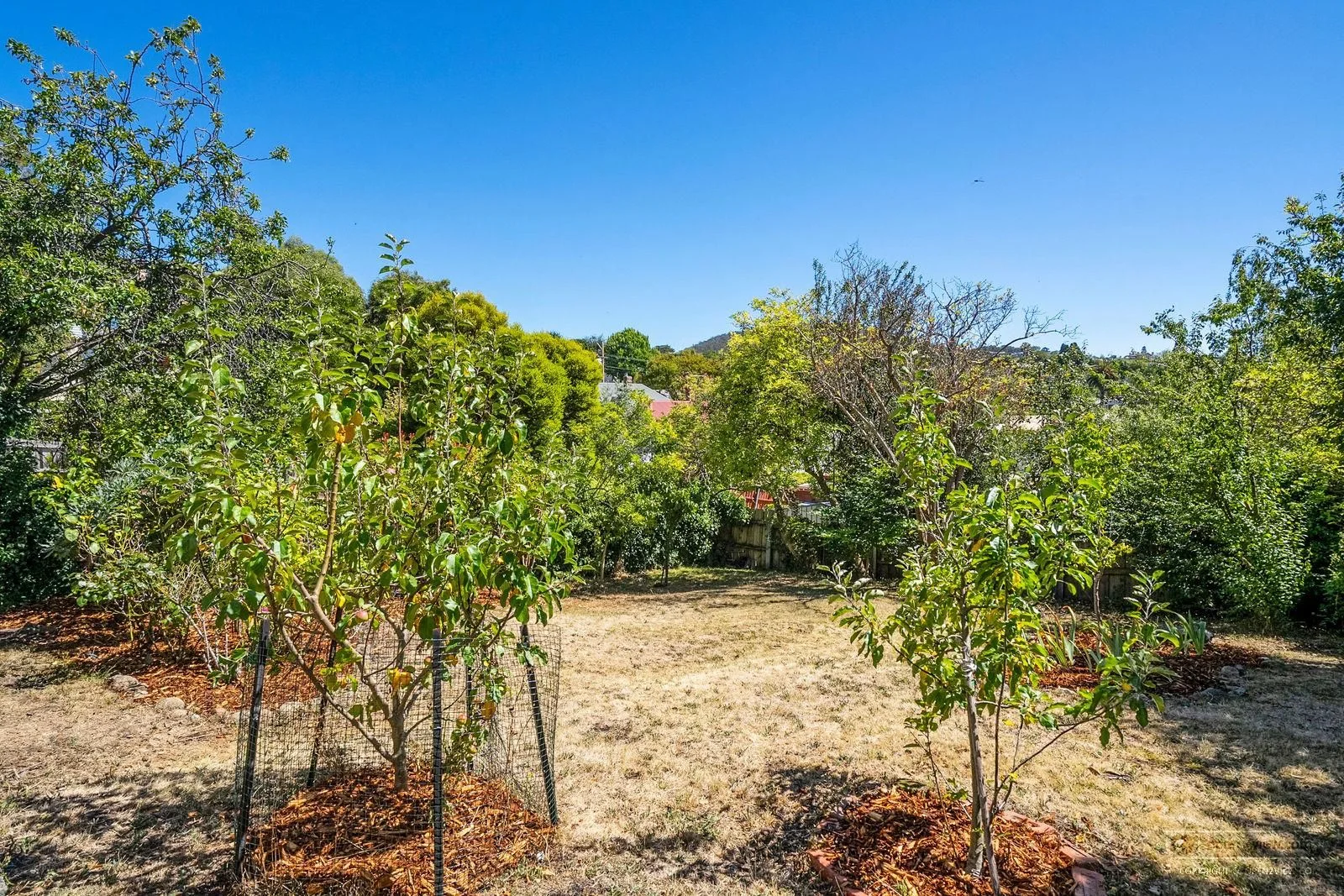 Additional image 31 of Sandy Bay TAS 7005