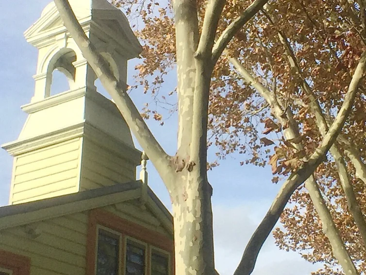 Additional image 10 of 8A Coral Street, South Fremantle WA 6162