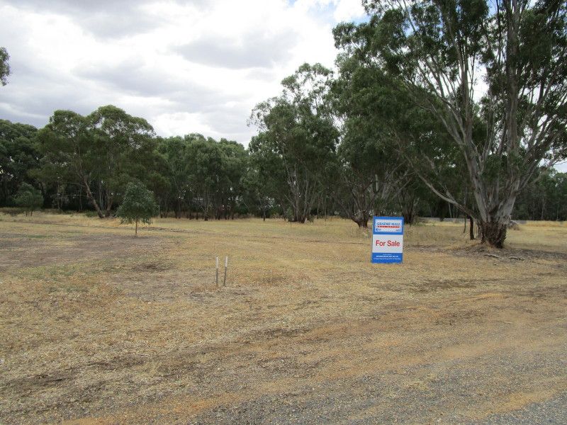 12 Phillips Court, St Arnaud VIC 3478, Image 0