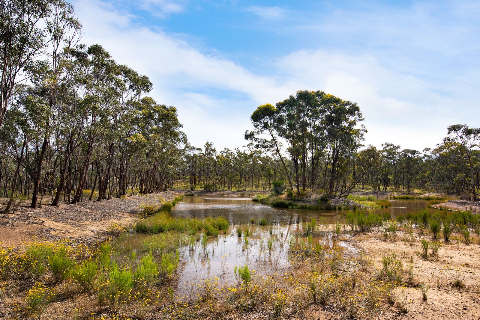 47 Shanahans Road, Eppalock VIC 3551, Image 2