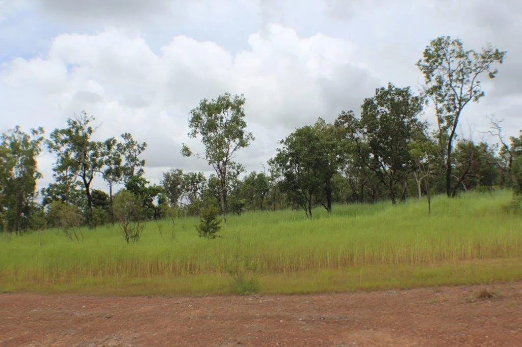 Image 10