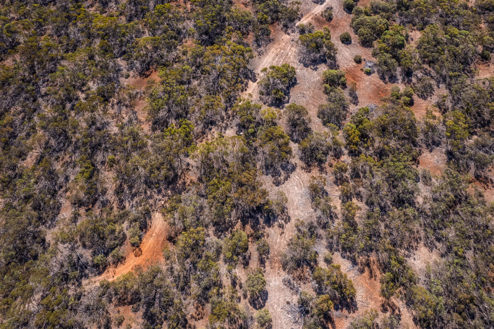 Image 15