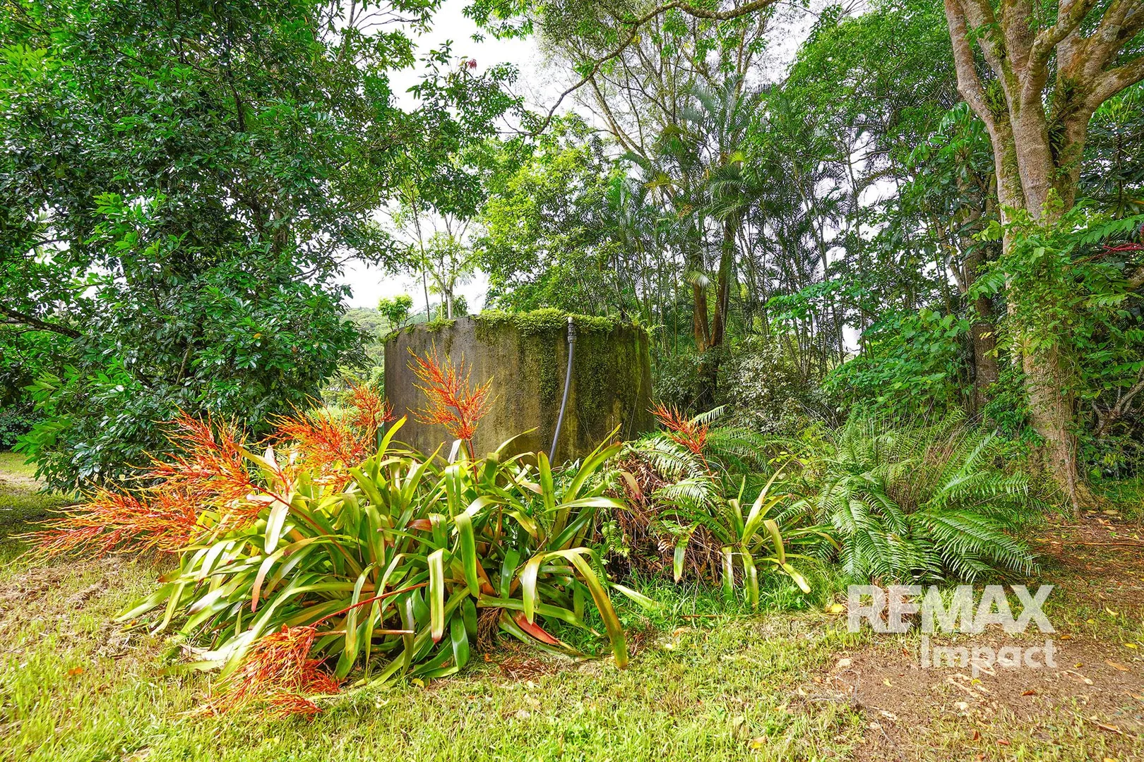 Additional image 15 of 1616 Mossman-Mount Molloy Road, Julatten QLD 4871