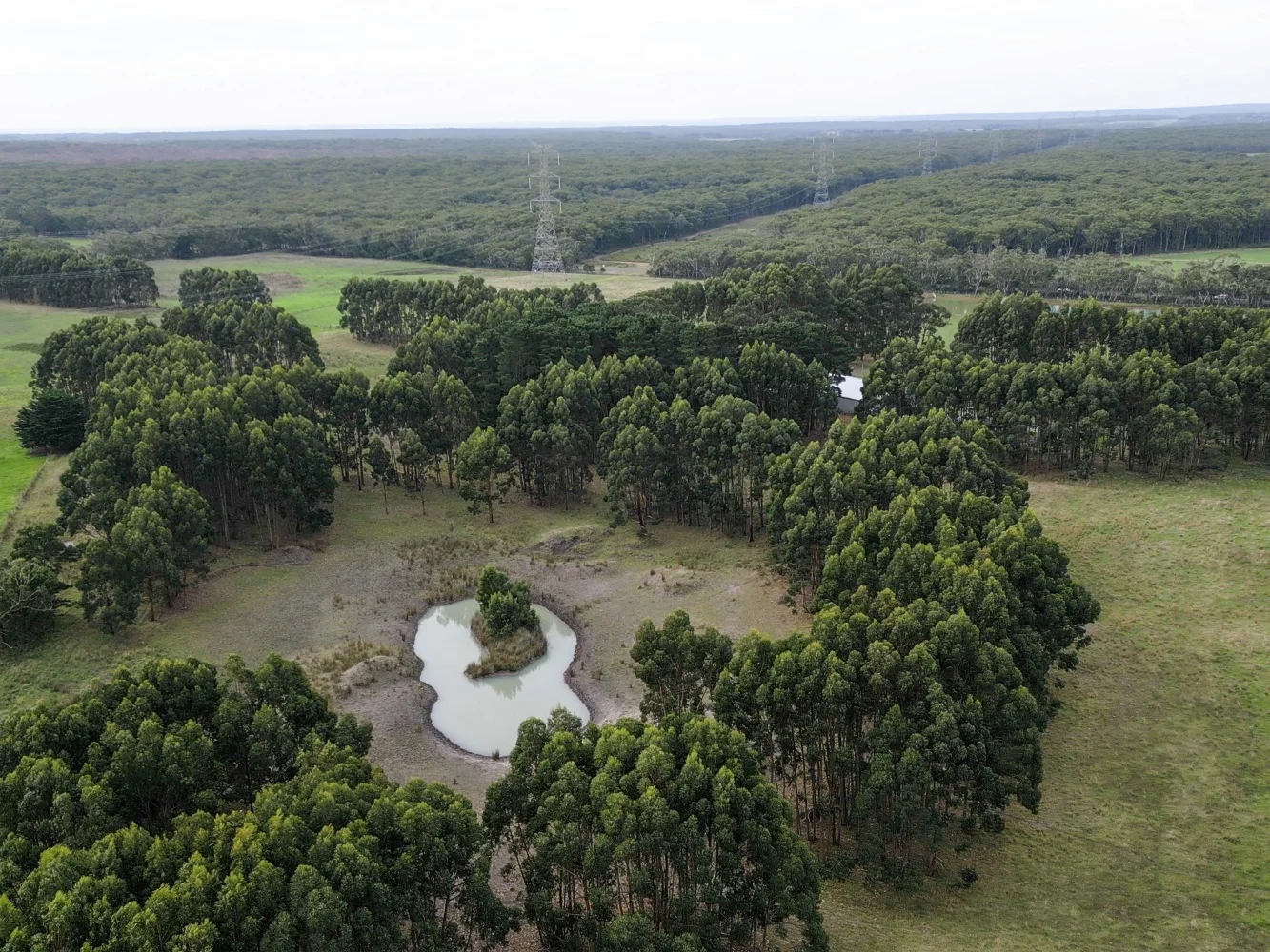 Image 16