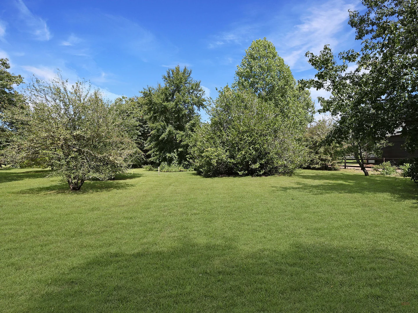 Image 25