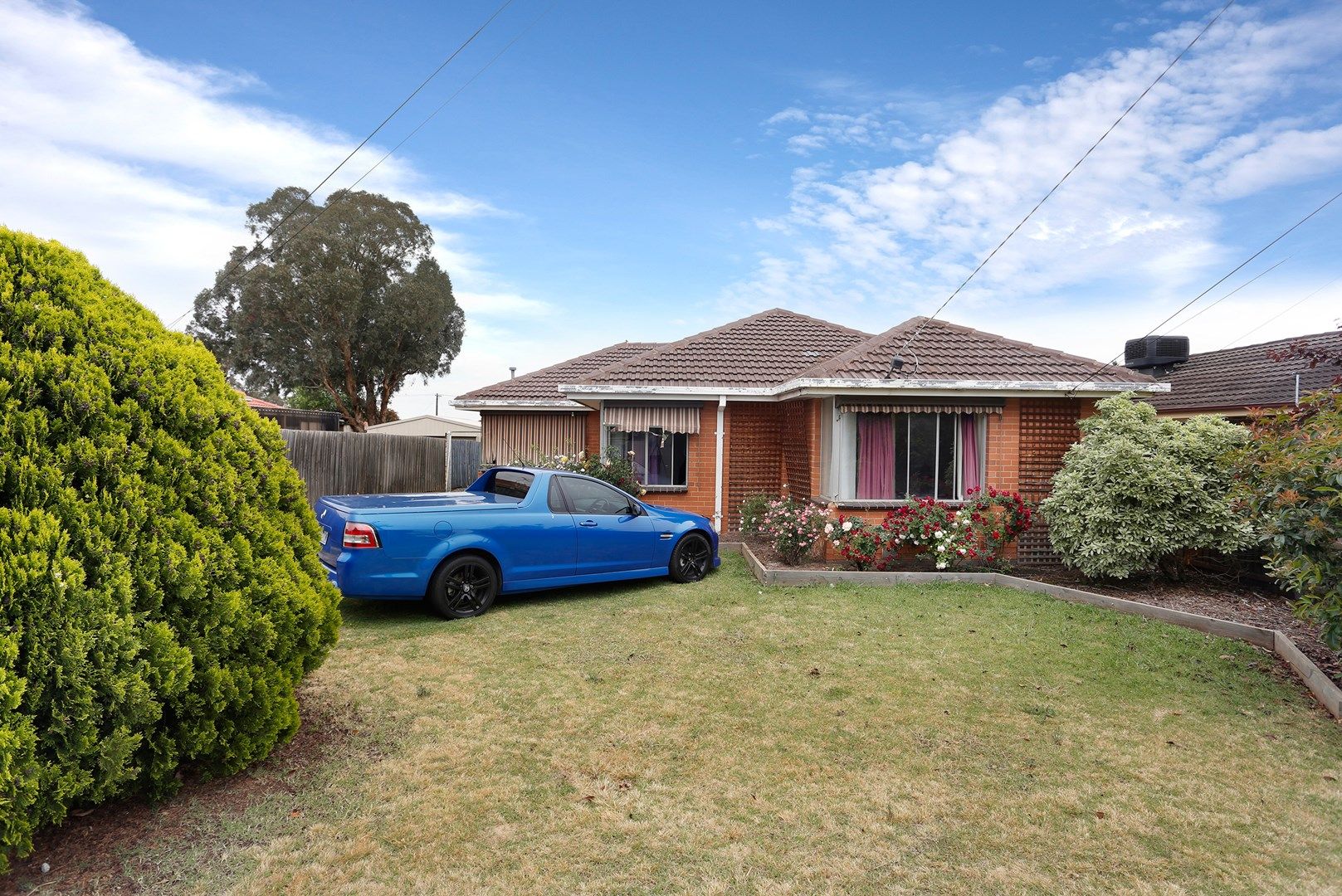 31 Corella Avenue, Melton VIC 3337, Image 1