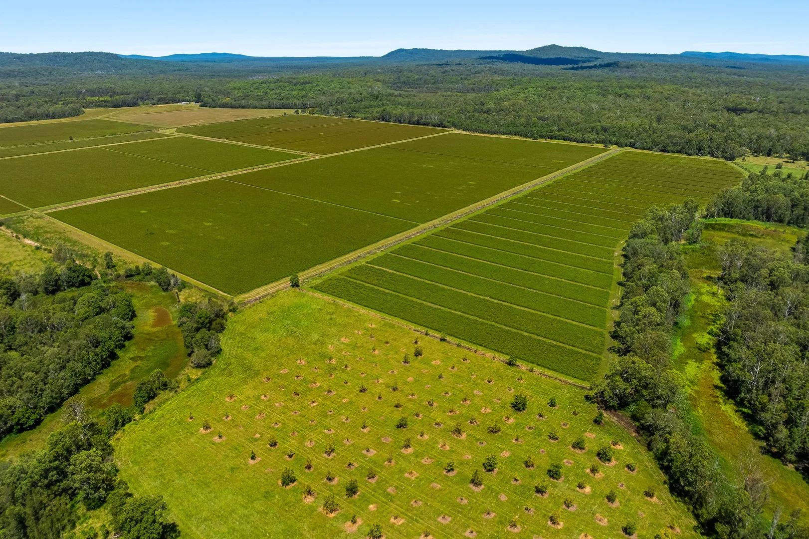 Additional image 22 of 1190 Bungawalbin Whiporie Road, Bungawalbin NSW 2469