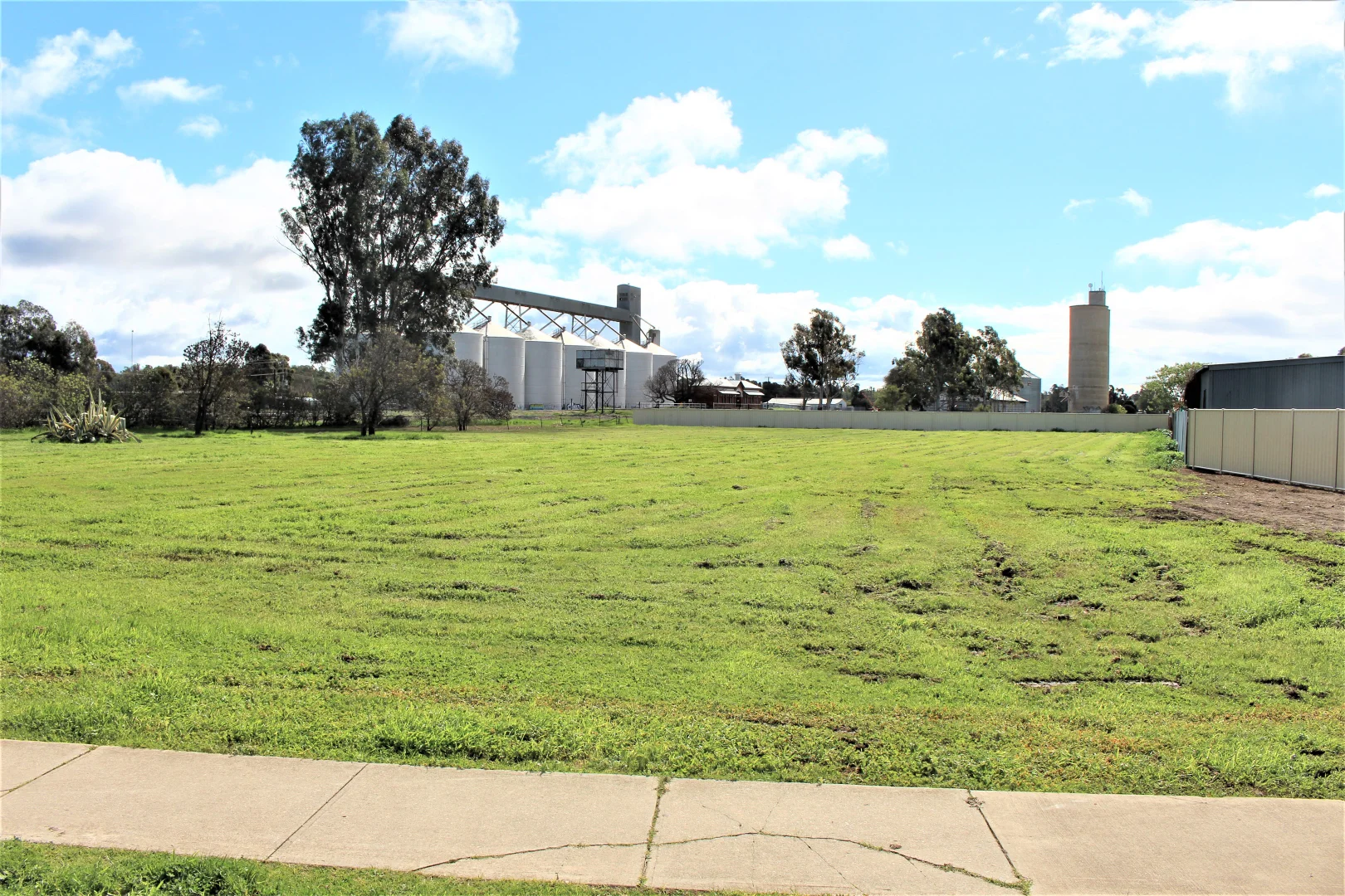Image 3