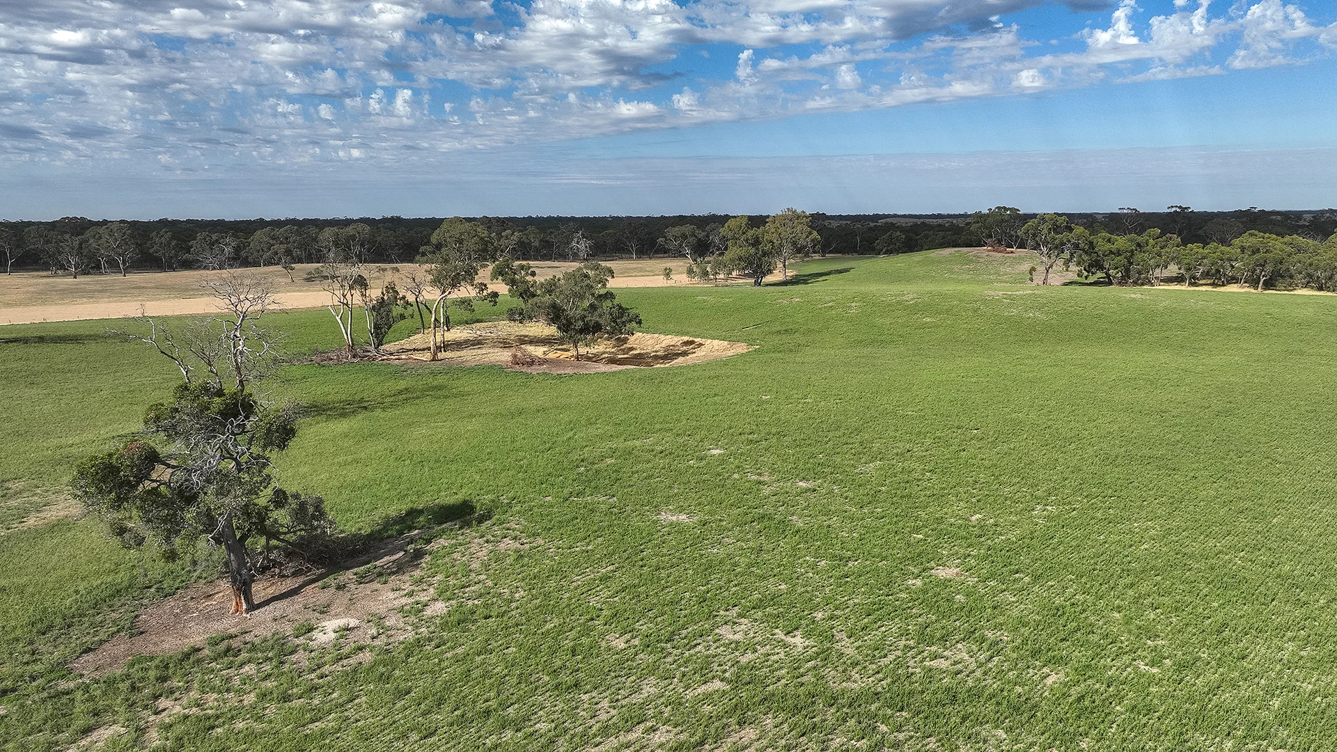 Additional image 49 of 2885 Frances Road, Bordertown SA 5268