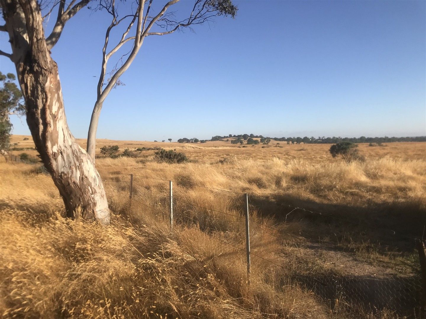 Lot 3 Cribbes Rd, Elphinstone VIC 3448 House for Sale Domain