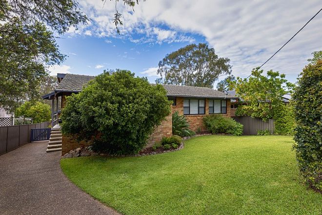 Picture of 22 Canna Street, BOLWARRA NSW 2320