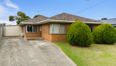 Picture of 63 Tadstan Drive, TULLAMARINE VIC 3043