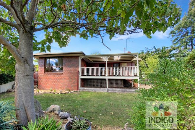 Picture of 2 Wood Street, BEECHWORTH VIC 3747