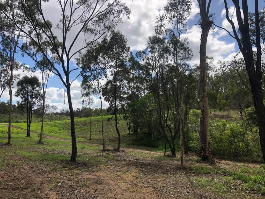 South Kolan QLD 4670 vacant land for Sale, 459,000 2018958328 Domain