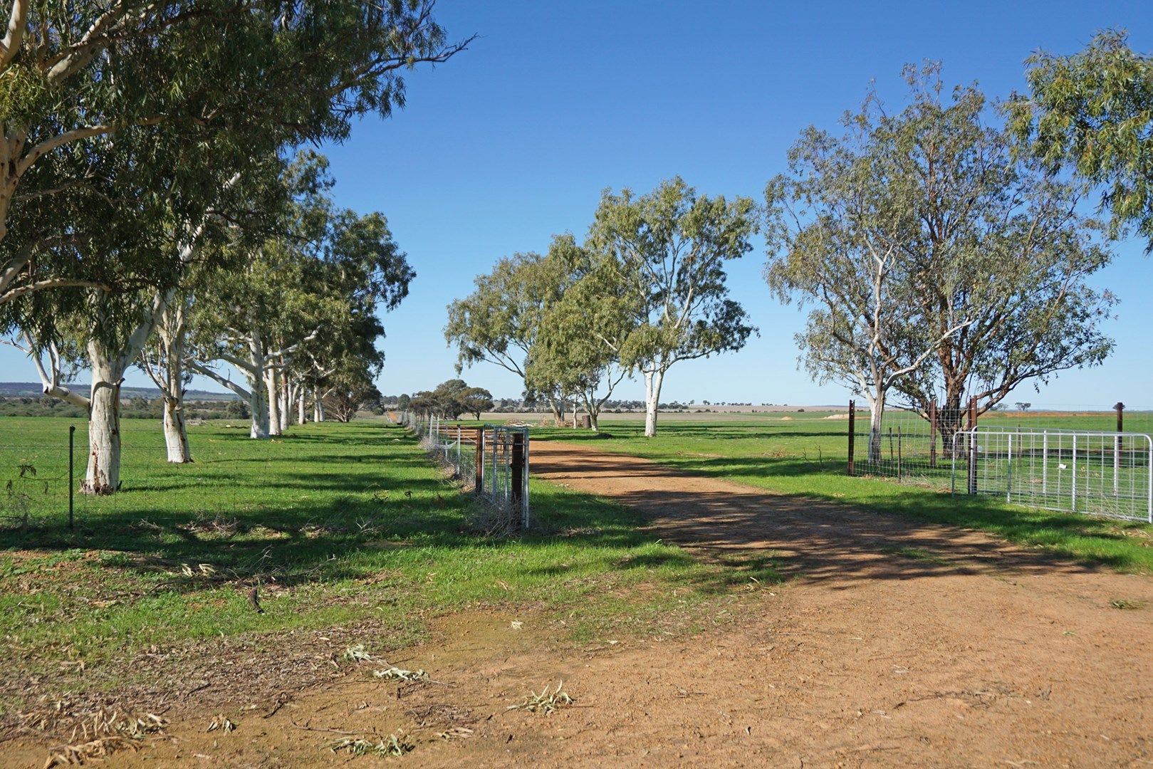 765 & 1009 Coalara Road, Badgingarra WA 6521, Image 1