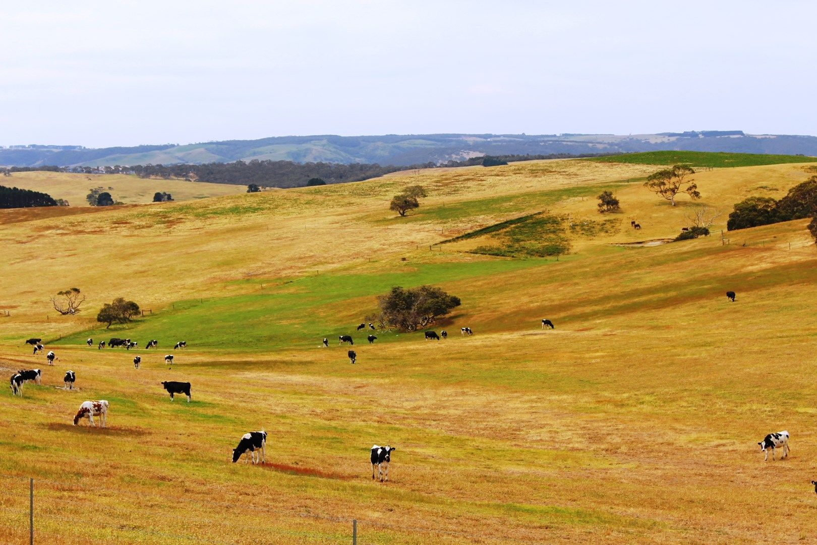 Lot 202 & 203 Back Valley Road, BACK VALLEY SA 5211, Image 0