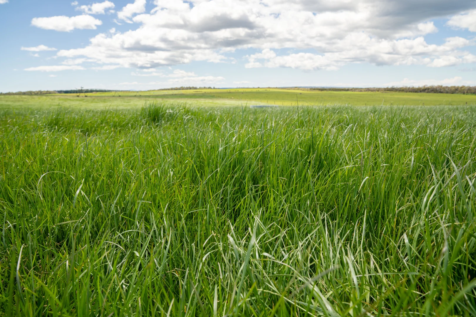 Additional image 17 of . Waterhouse Road, Boobyalla TAS 7264