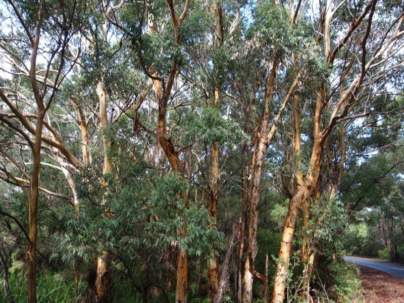 Lot 30 Caves Road, Deepdene WA 6290, Image 0